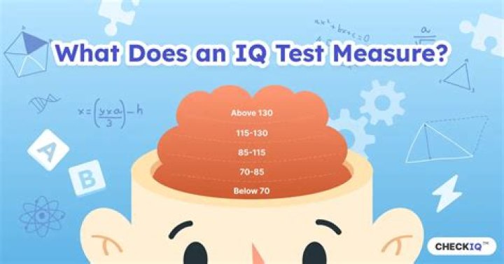 What is a high IQ for a 13 year old?
