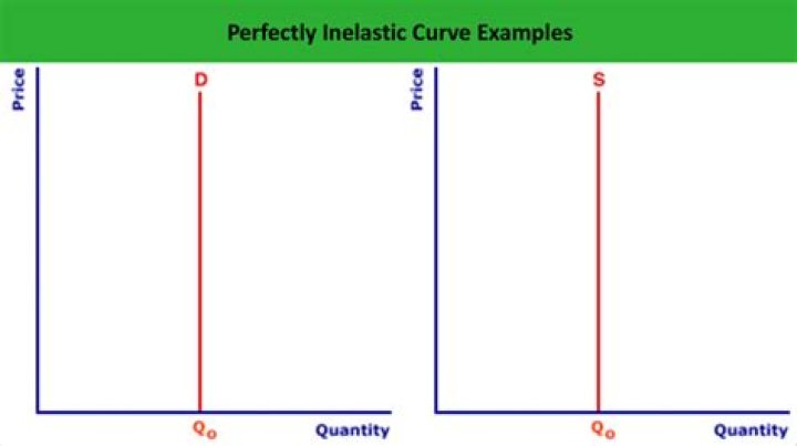 What is a perfectly inelastic demand curve?
