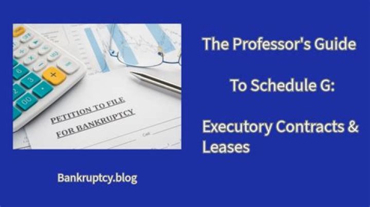 What is a Schedule G bankruptcy?