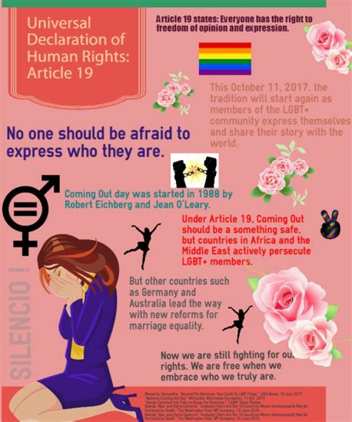 What is Article 19 of the Universal Declaration of Human Rights?