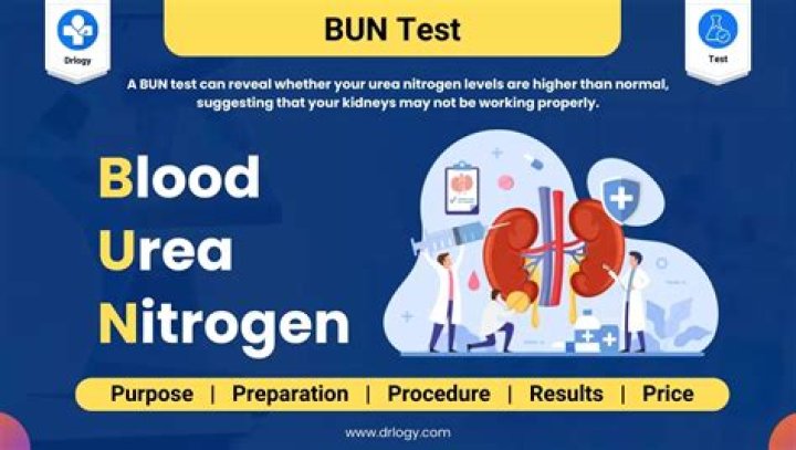 What is BUN in blood test 5?