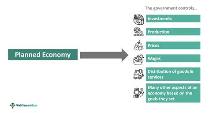 What is economic planned economy?
