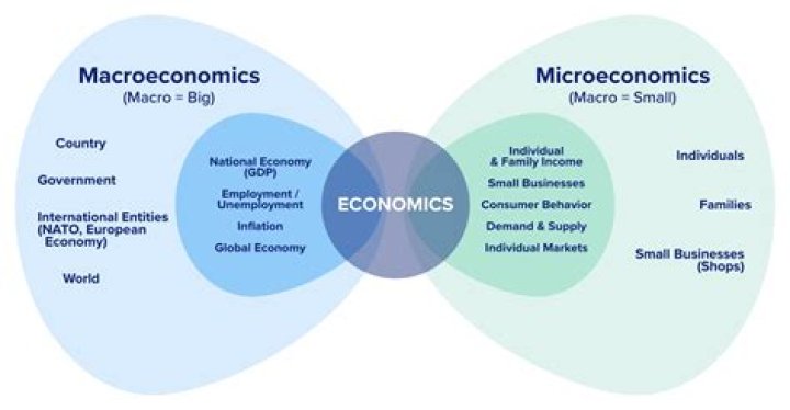 What is health macroeconomics?