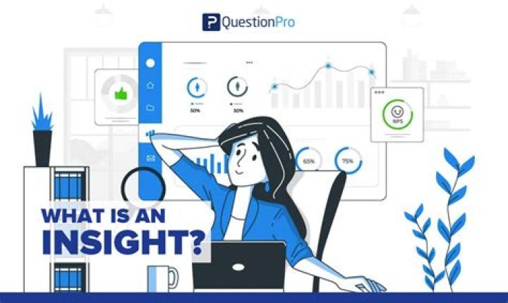 What is Insight software used for?