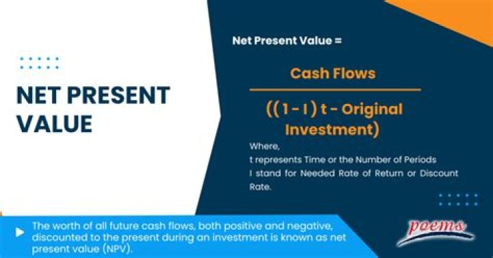 What is Net present value of forest?