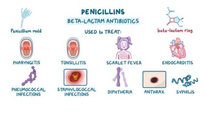 What is penicillin commonly used to treat?