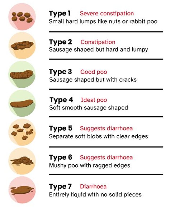 What is poo pee?