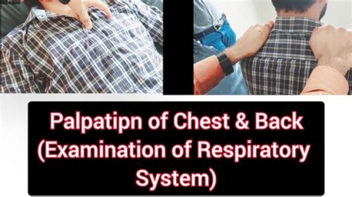 What is respiratory palpation?