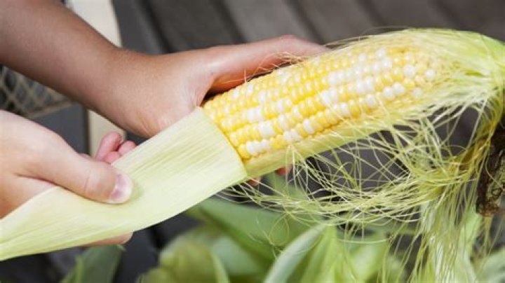 What is shucking corn?