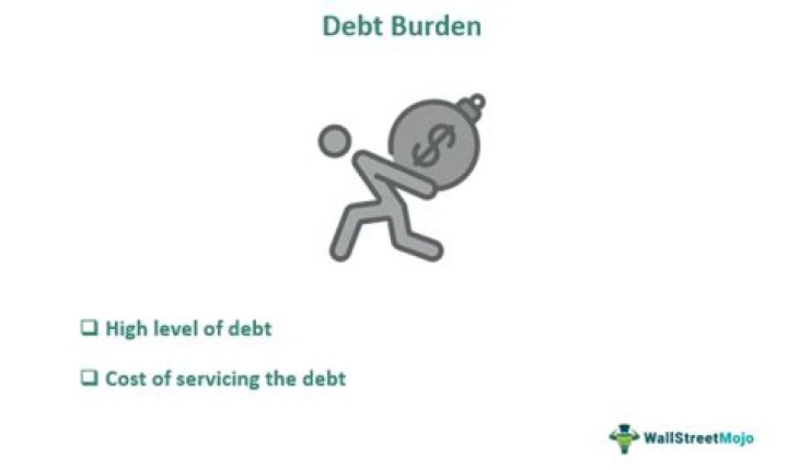 What is the burden of the public debt?