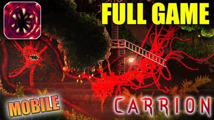 What is the carrion program in Revenge?