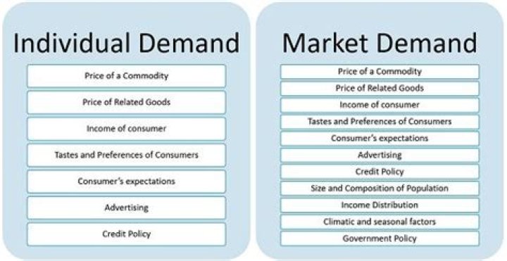What is the difference between individual demand and market demand quizlet?