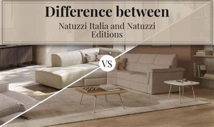 What is the difference between Natuzzi and Natuzzi Editions?