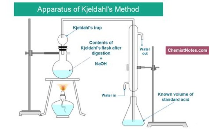 What is the function of Kjeldahl flask?