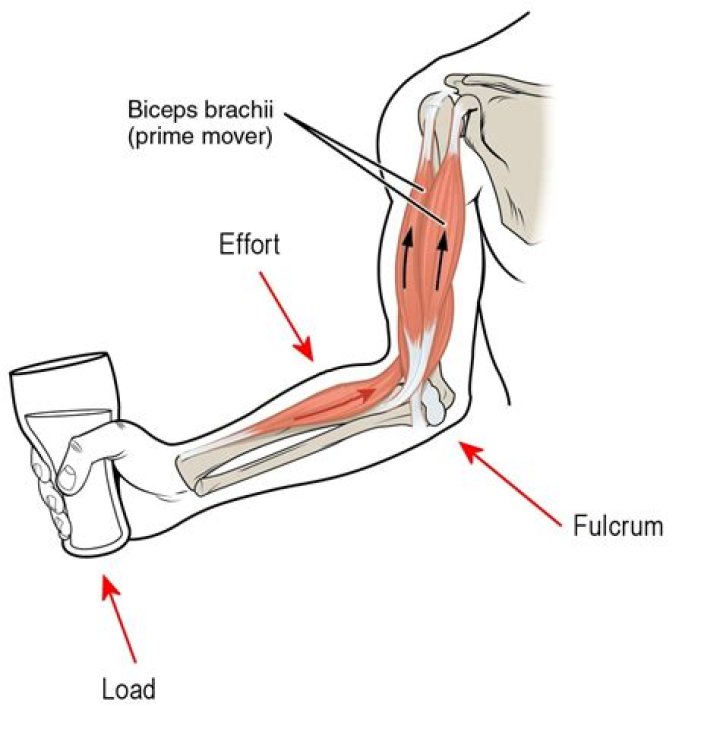 What is the lever arm?