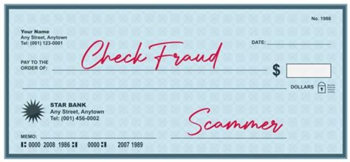 What is the maximum penalty for check fraud?
