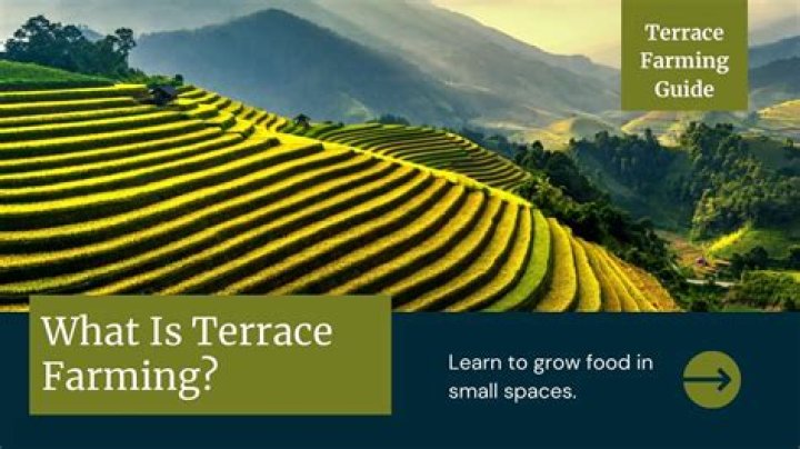 What is the method of terrace farming?