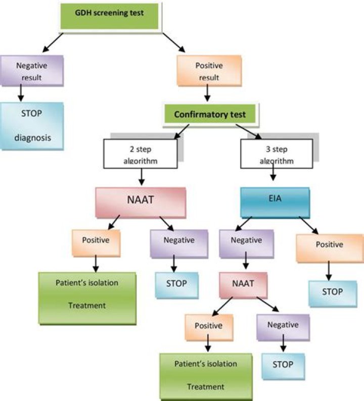 What is the most rapid confirmatory test for diagnosing Clostridium difficile infection?