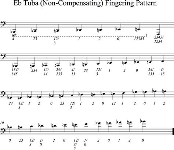 What is the other name for the E-flat bass tuba?