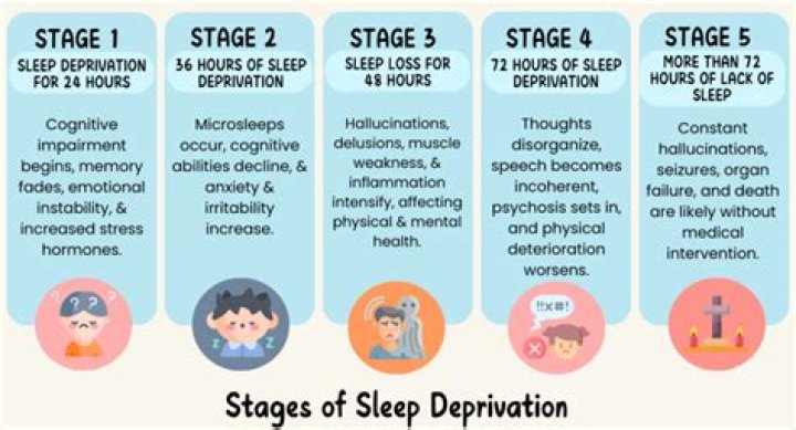 What is the point of Sleep No More?
