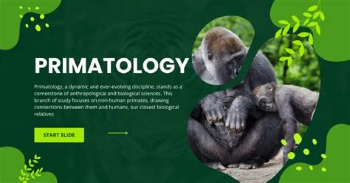 What is the study of primatology?