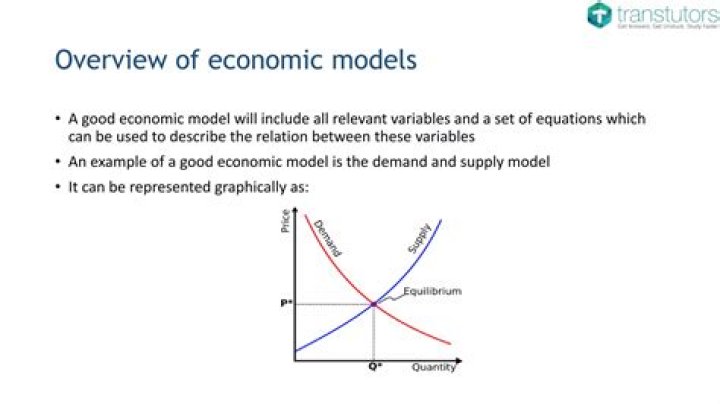 What models do economists use?
