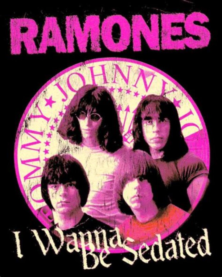 What movie is the song I Wanna Be Sedated in?
