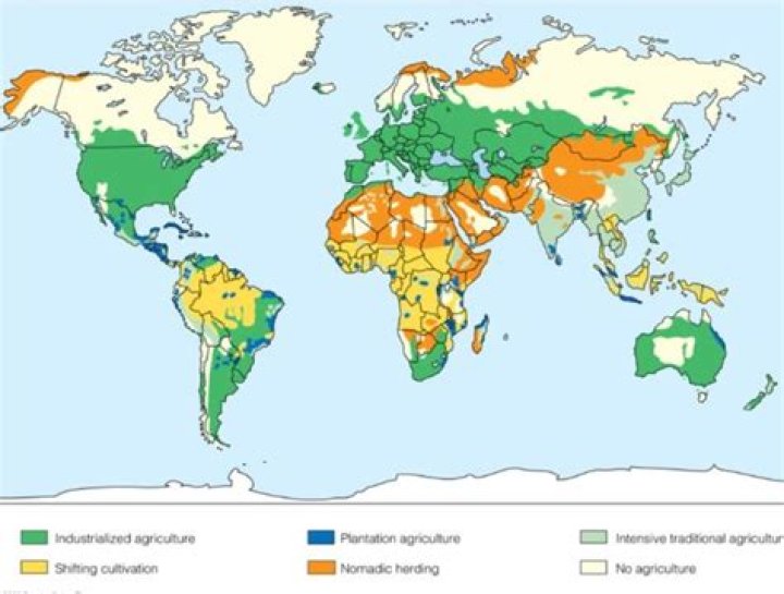 What region is nomadic herding practiced?