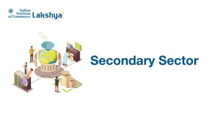 What sector means?