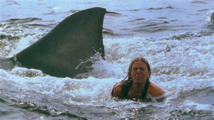 What shark did they use in Jaws 2?