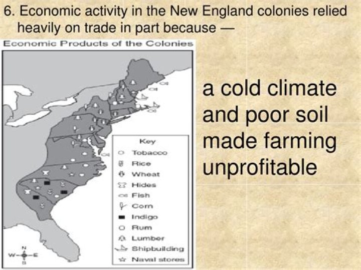 What type of economy did the New England colonies have?