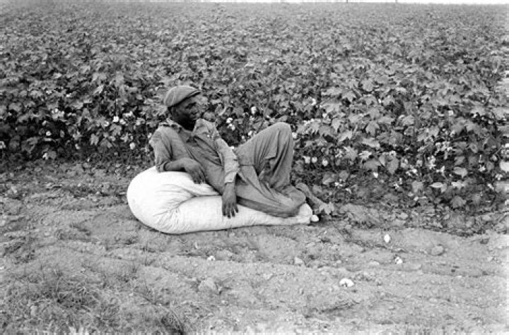 What was the effect of the sharecroppers borrowing money from the landowners?