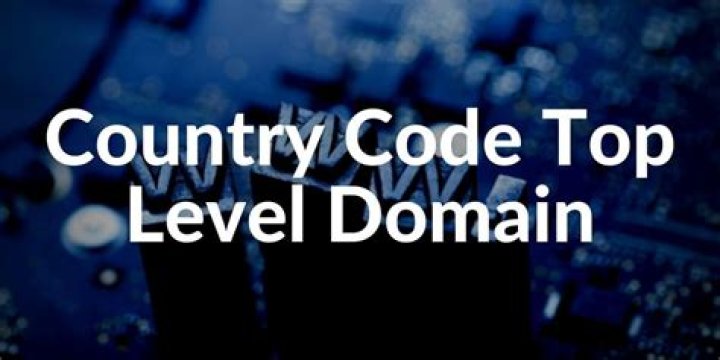 Which is an example of a country code top-level domain?