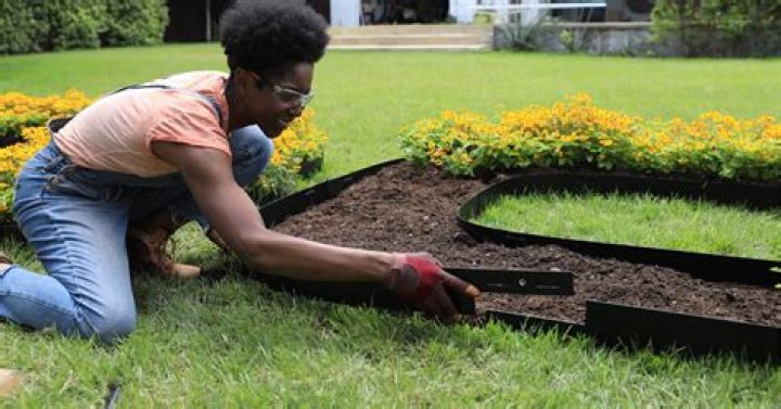 Which landscape edging is best?
