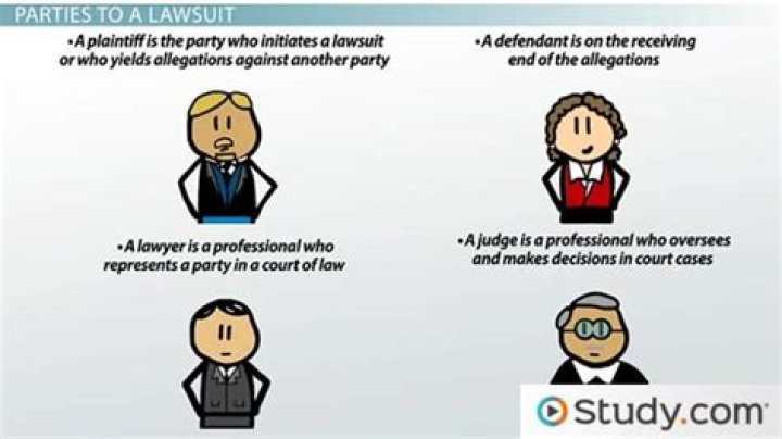 Who are the parties in a lawsuit?