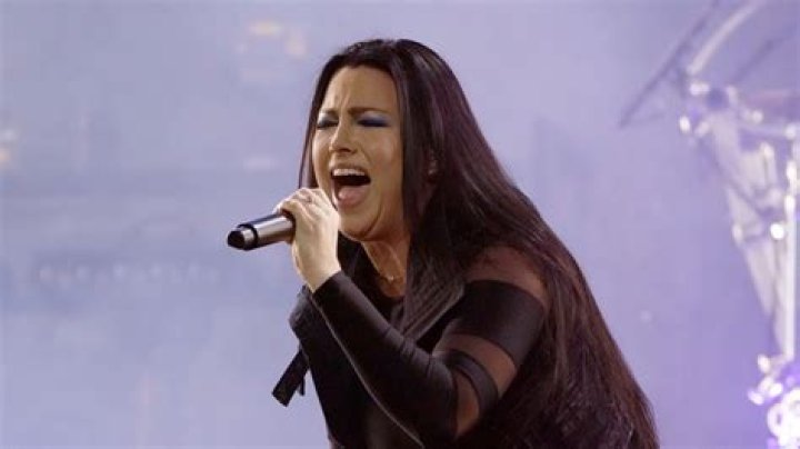 Who did Amy Lee wrote Bring Me To Life about?