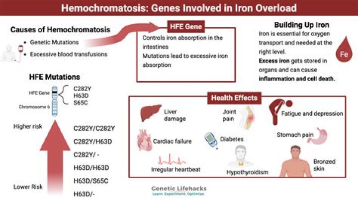 Why does hemochromatosis cause cardiomyopathy?