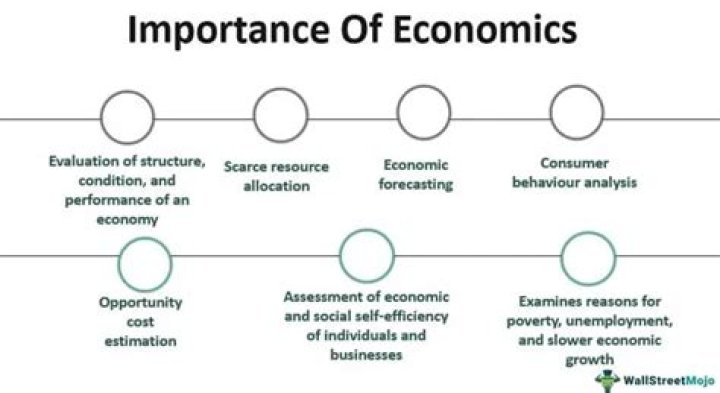 Why is economics important to human beings?