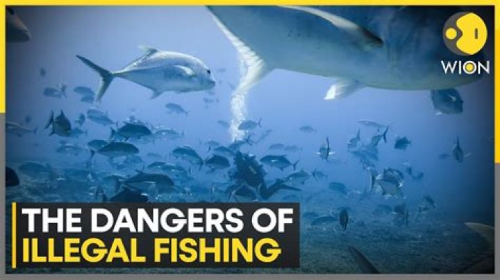 Why is fish hooking illegal?